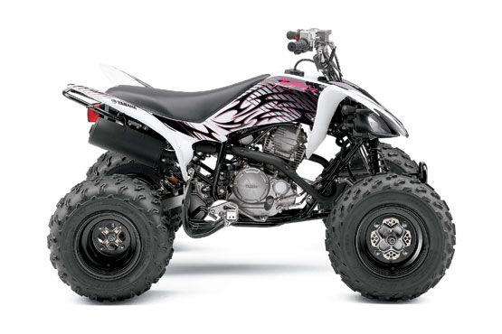 2010 Yamaha Raptor 250