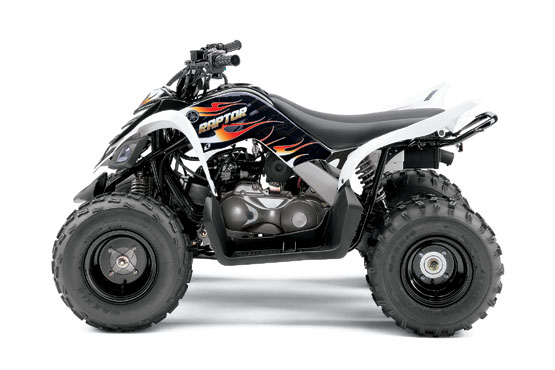 2010 Yamaha Raptor 90 YFM90 