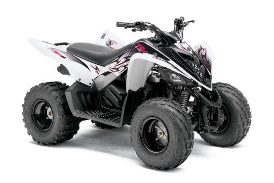 2010 Yamaha Raptor 90 YFM90 