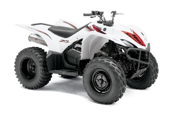 2010 Yamaha Wolverine 450 4x4