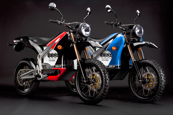 2010 Zero DS
