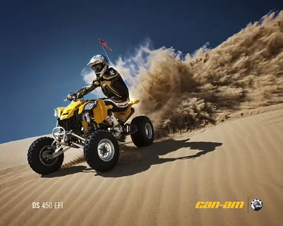 2011 Can-Am DS 450