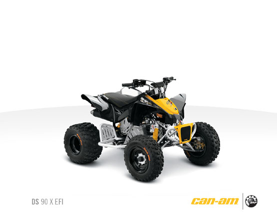2011 Can-Am DS 90 X