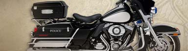 2011 Harley-Davidson Special Editions