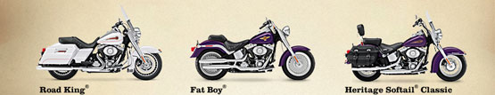 2011 Harley-Davidson Shrine Fat Boy