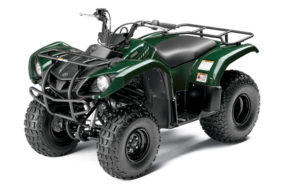 2011 Yamaha Grizzly 125