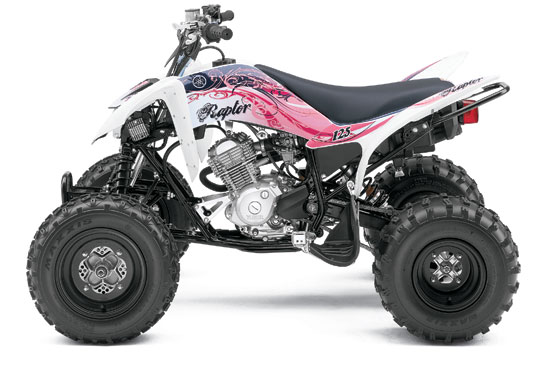 2011 Yamaha Raptor 125