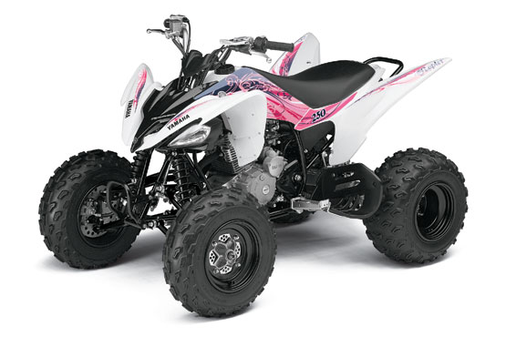 2011 Yamaha Raptor 250
