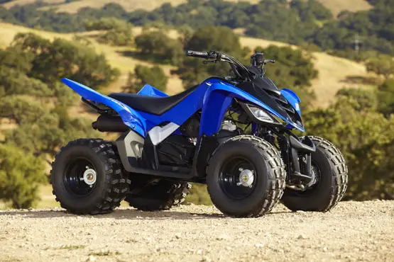 2011 Yamaha Raptor 90