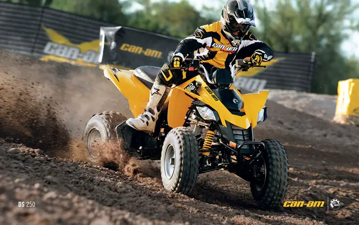 2012 Can-Am DS 250