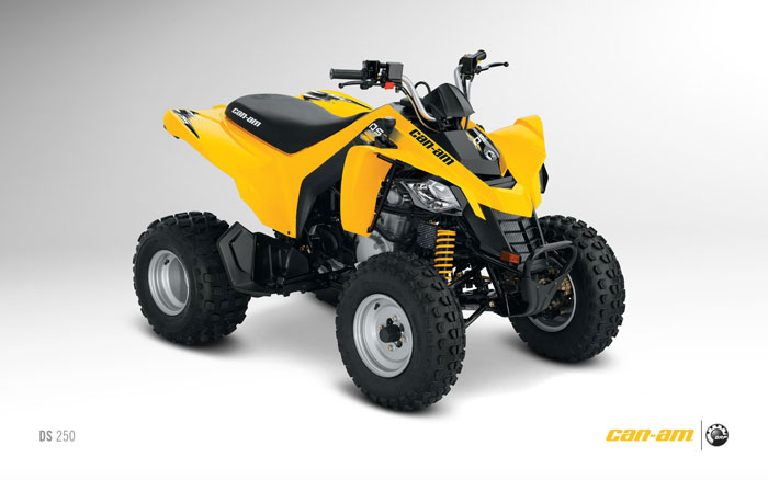 2012 Can-Am DS 250