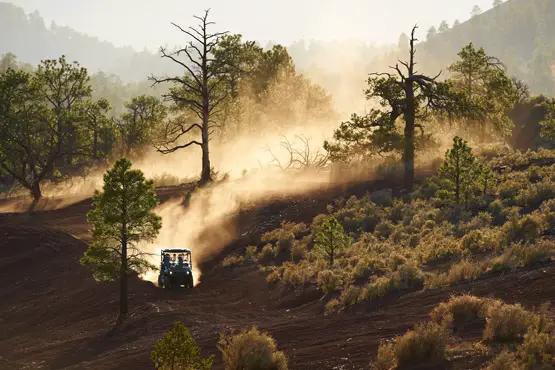 2012 Yamaha Rhino 700 FI Auto 4x4