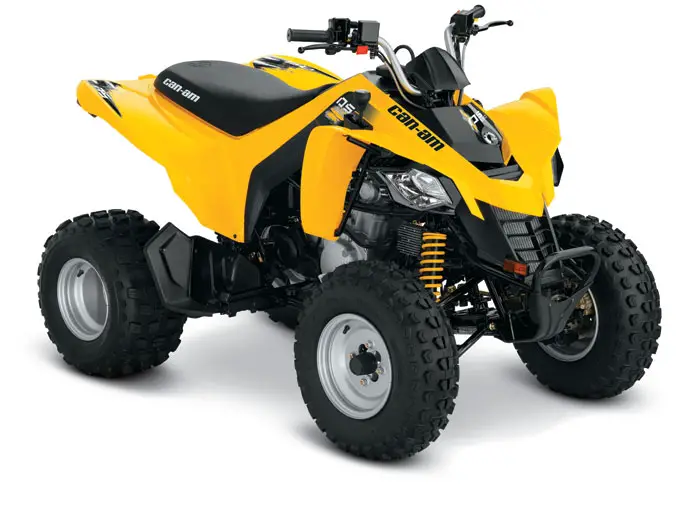 2013 Can-Am DS 250