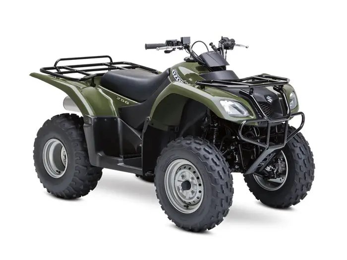 2013 Suzuki Ozark 250
