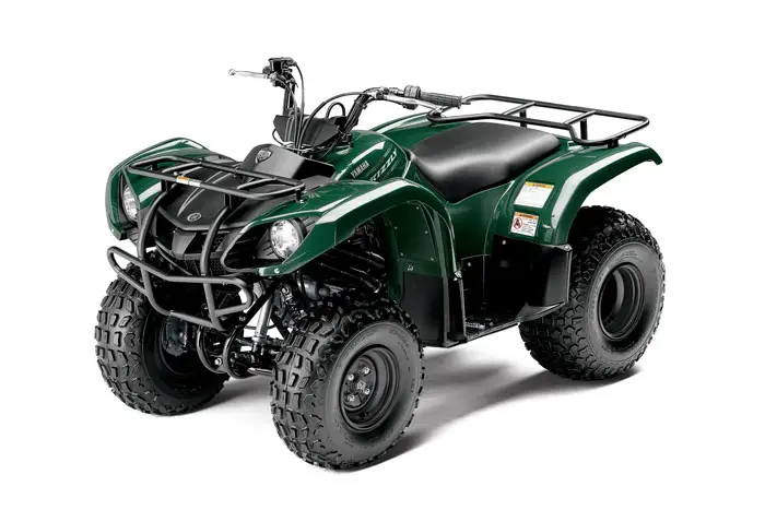 2013 Yamaha Grizzly 125 Automatic