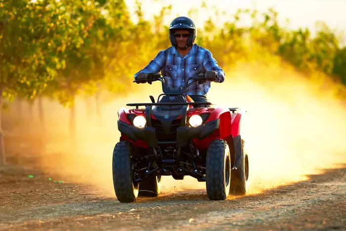 2013 Yamaha Grizzly 300 Automatic