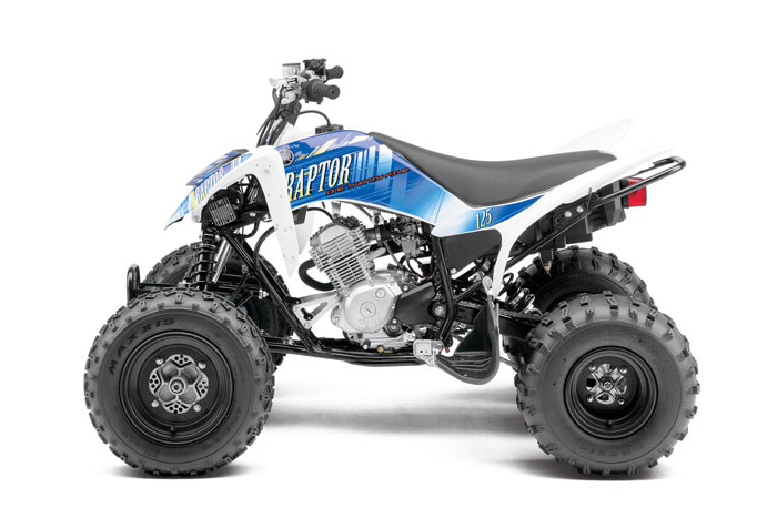 2013 Yamaha Raptor 125