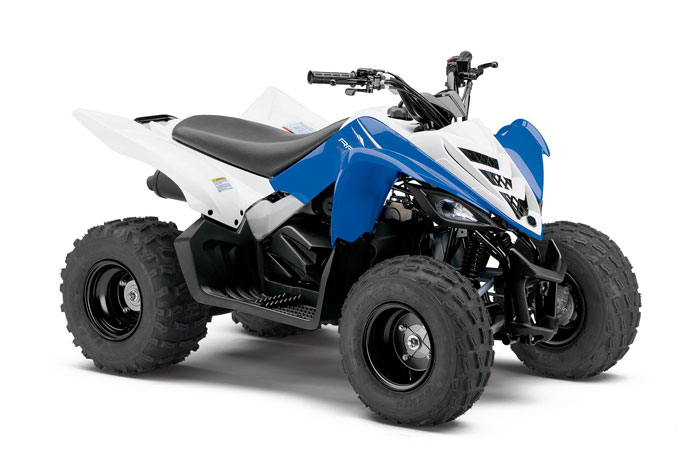 2013 Yamaha Raptor 90