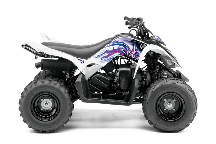 2013 Yamaha Raptor 90