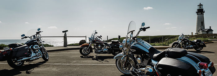 2015 Harley-Davidson FXSB Breakout 