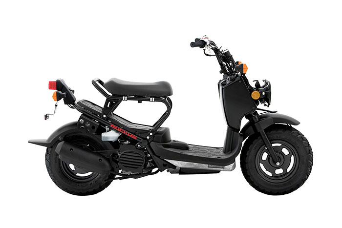 2015 Honda Ruckus 