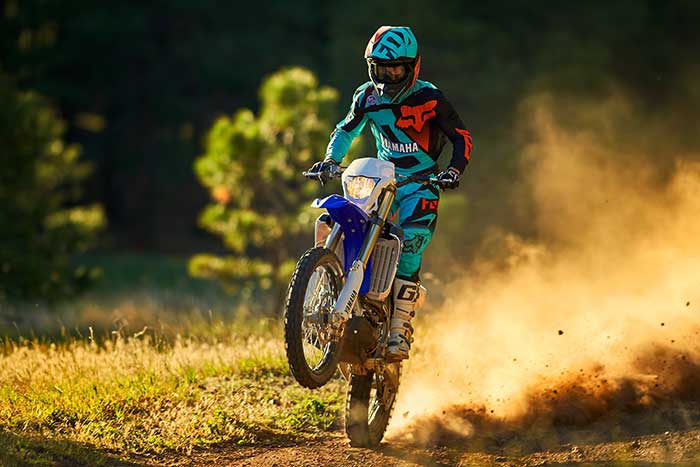 2017 Yamaha WR250F