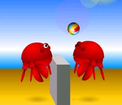 Crab Volleyball