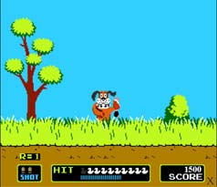 Duck Hunt