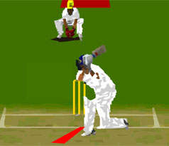 Virtual Cricket