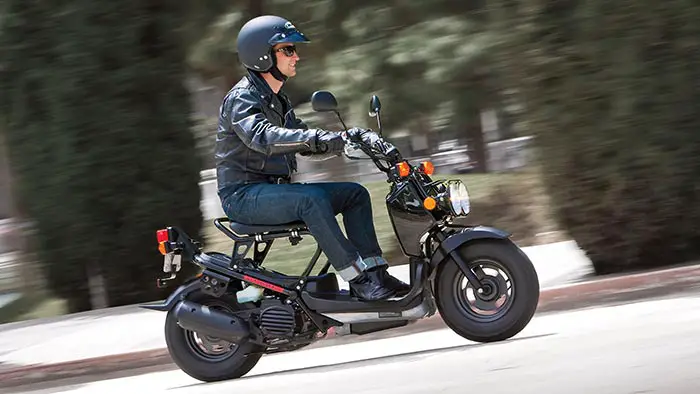 2017 Honda Ruckus