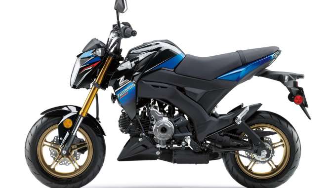 2018 Kawasaki Z125 Pro SE