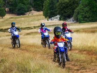 2018 Yamaha TT-R110E