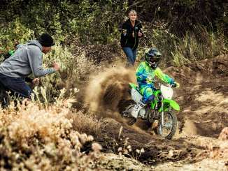 2019 Kawasaki KLX110L