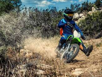 2019 Kawasaki KLX140L