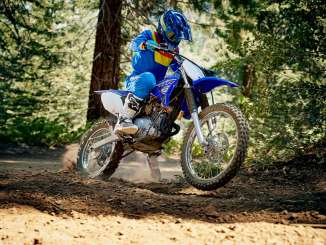 2019 Yamaha TT-R125LE