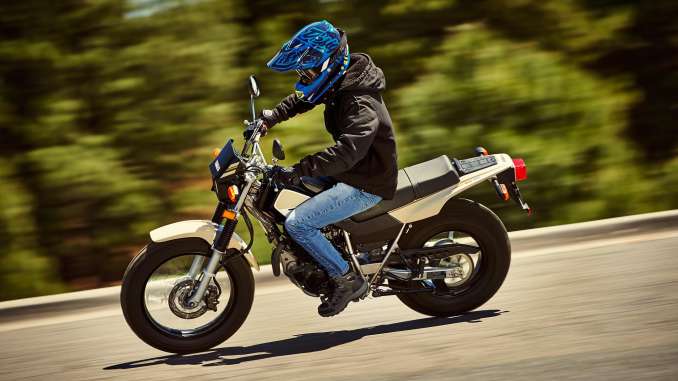 2019 Yamaha TW200