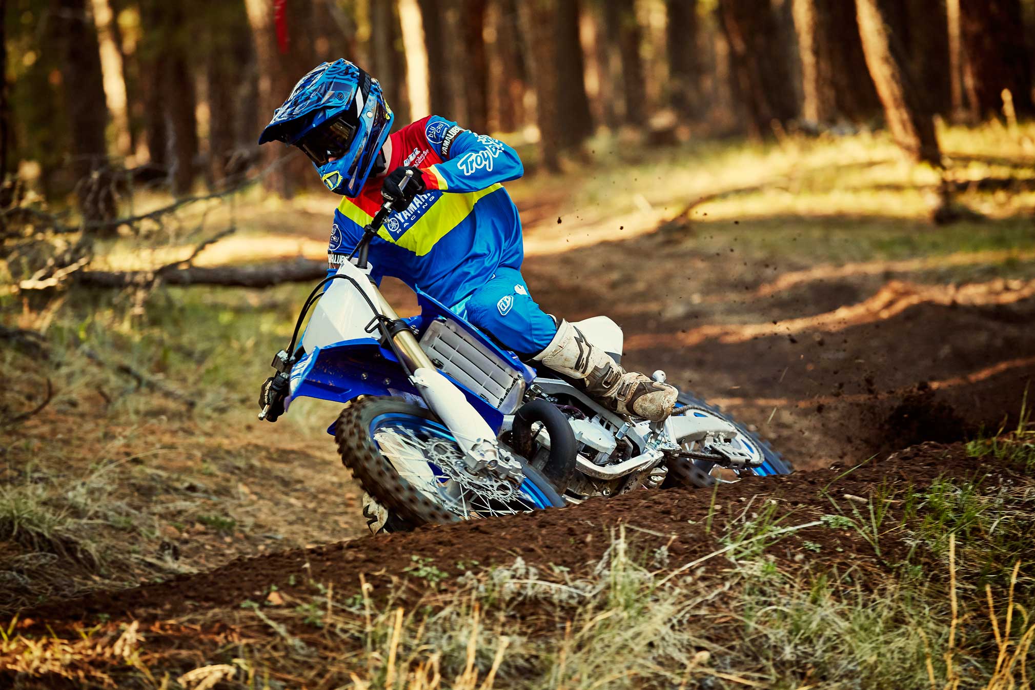 2019 Yamaha YZ250X