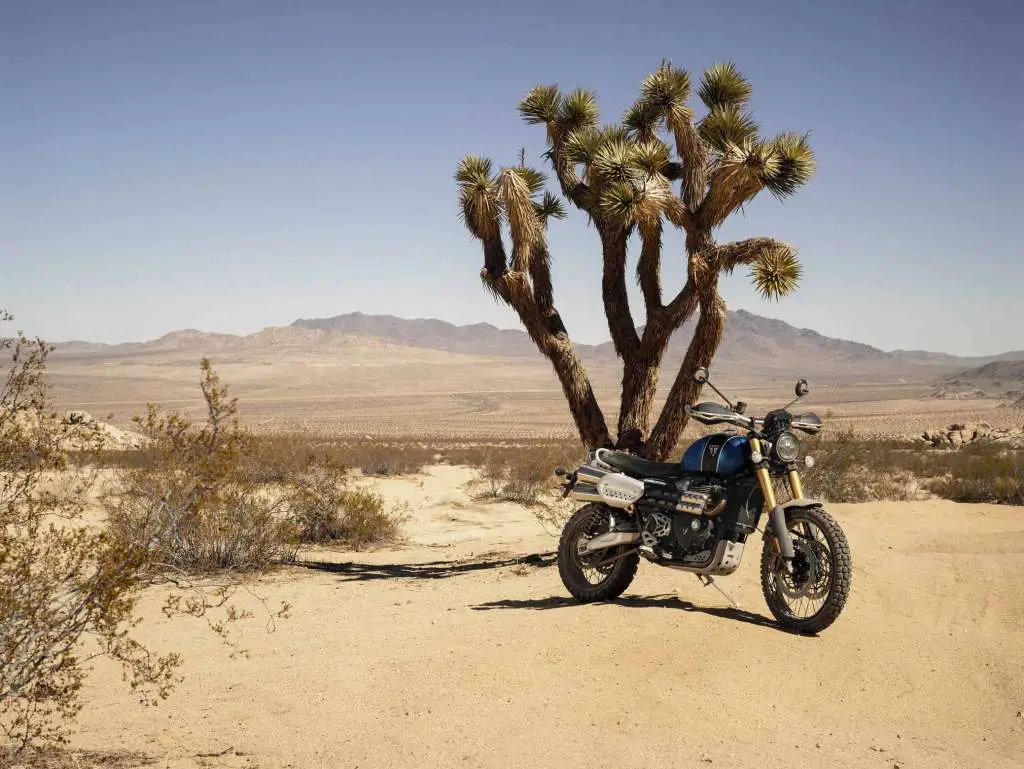 2019 Triumph Scrambler 1200XE