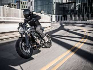 2019 Husqvarna SVARTPILEN 701