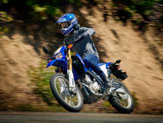 2019 Yamaha WR250R