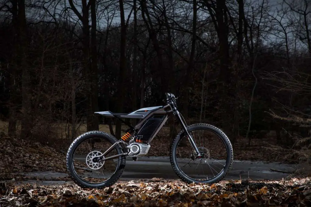 2019-Harley-Davidson Electric Concept Type 2