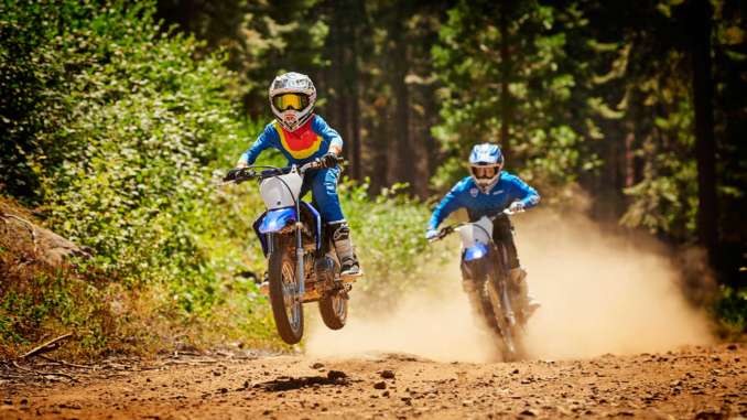 2020 Yamaha TT-R110E