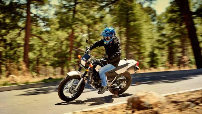 2020 Yamaha TW200