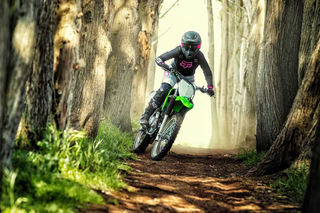 2020 Kawasaki KLX230R