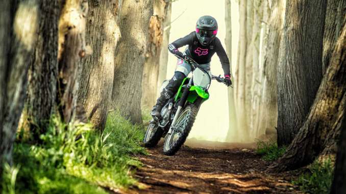 2020 Kawasaki KLX230R