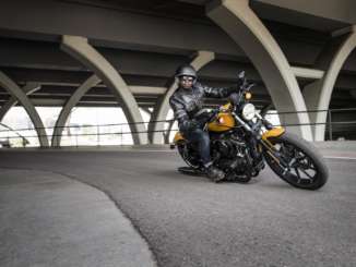 2020 Harley-Davidson Iron 883