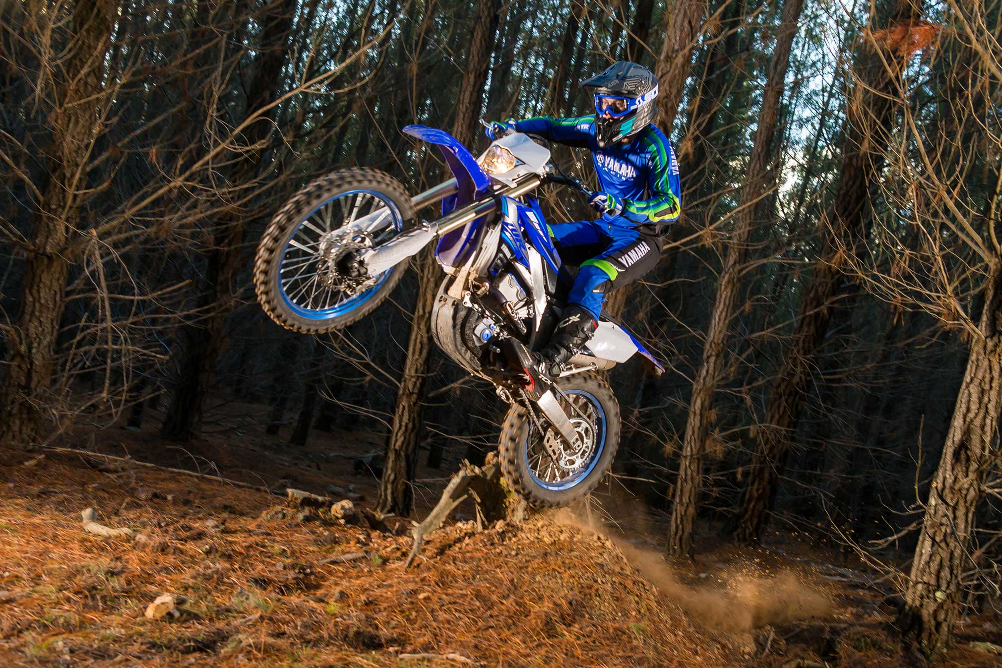 2020 Yamaha WR450F