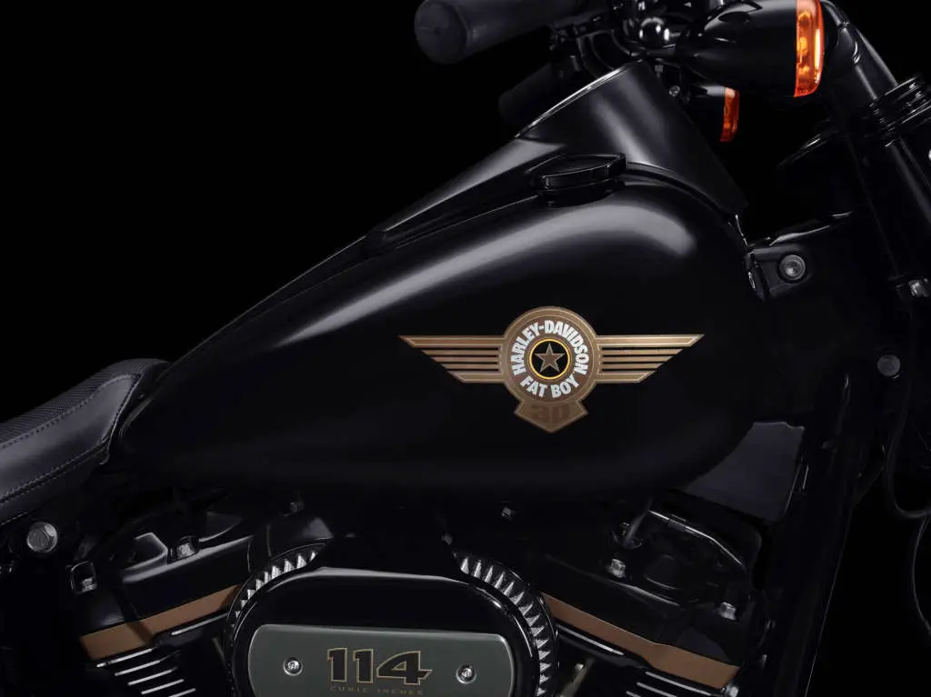 2020 Harley-Davidson Fat Boy 30th Anniversary