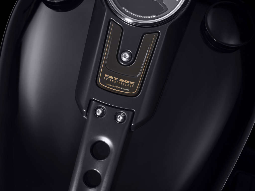 2020 Harley-Davidson Fat Boy 30th Anniversary