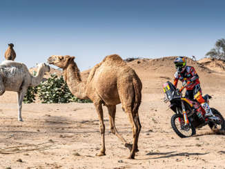 Inspiration Friday: Breath-Taking 2020 Dakar Rally Images and Scenery